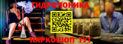 индика Кимры