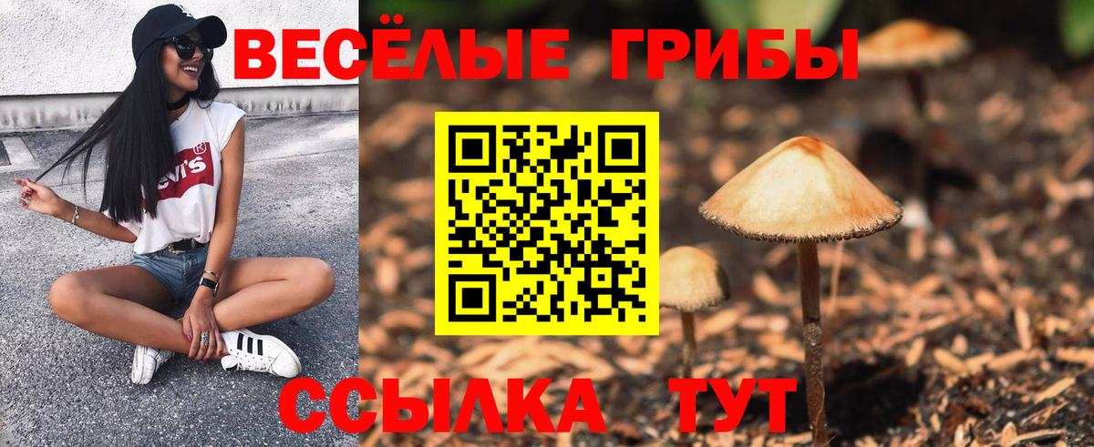 Псилоцибиновые грибы мицелий Иваново