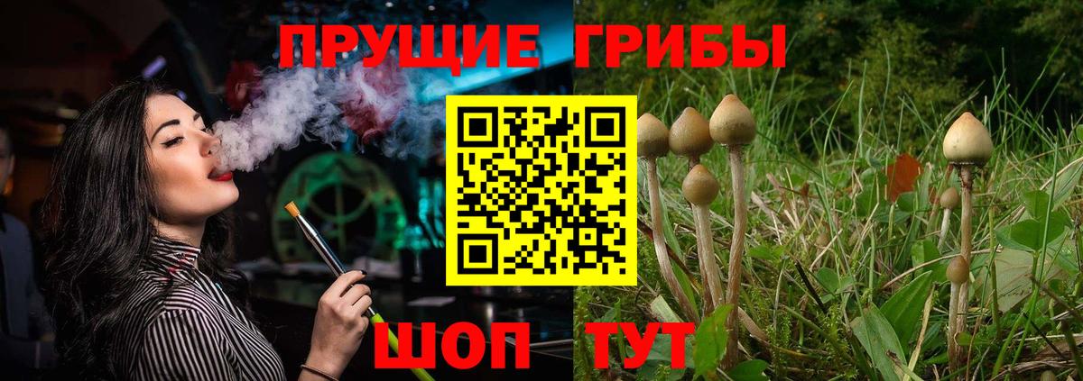 Псилоцибиновые грибы прущие грибы  Вход с VPN  Иваново 