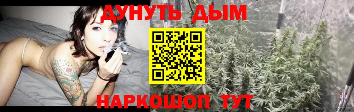 Канабис OG Kush Иваново